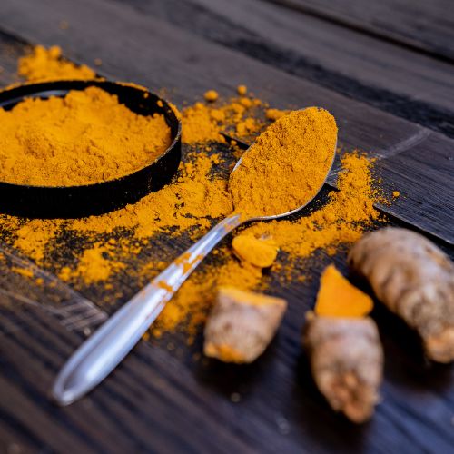 Ayurvedic herb for dogs – turmeric
