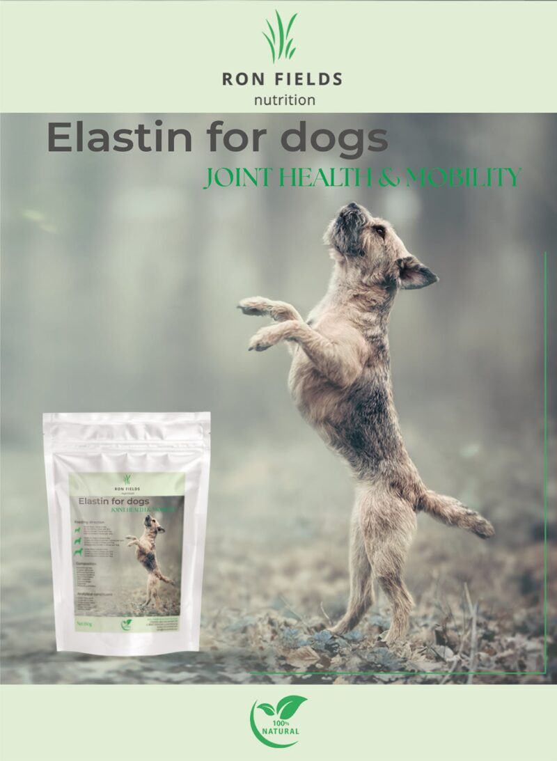 Elastin Ayurvedic joint support supplement for dogs – product packaging