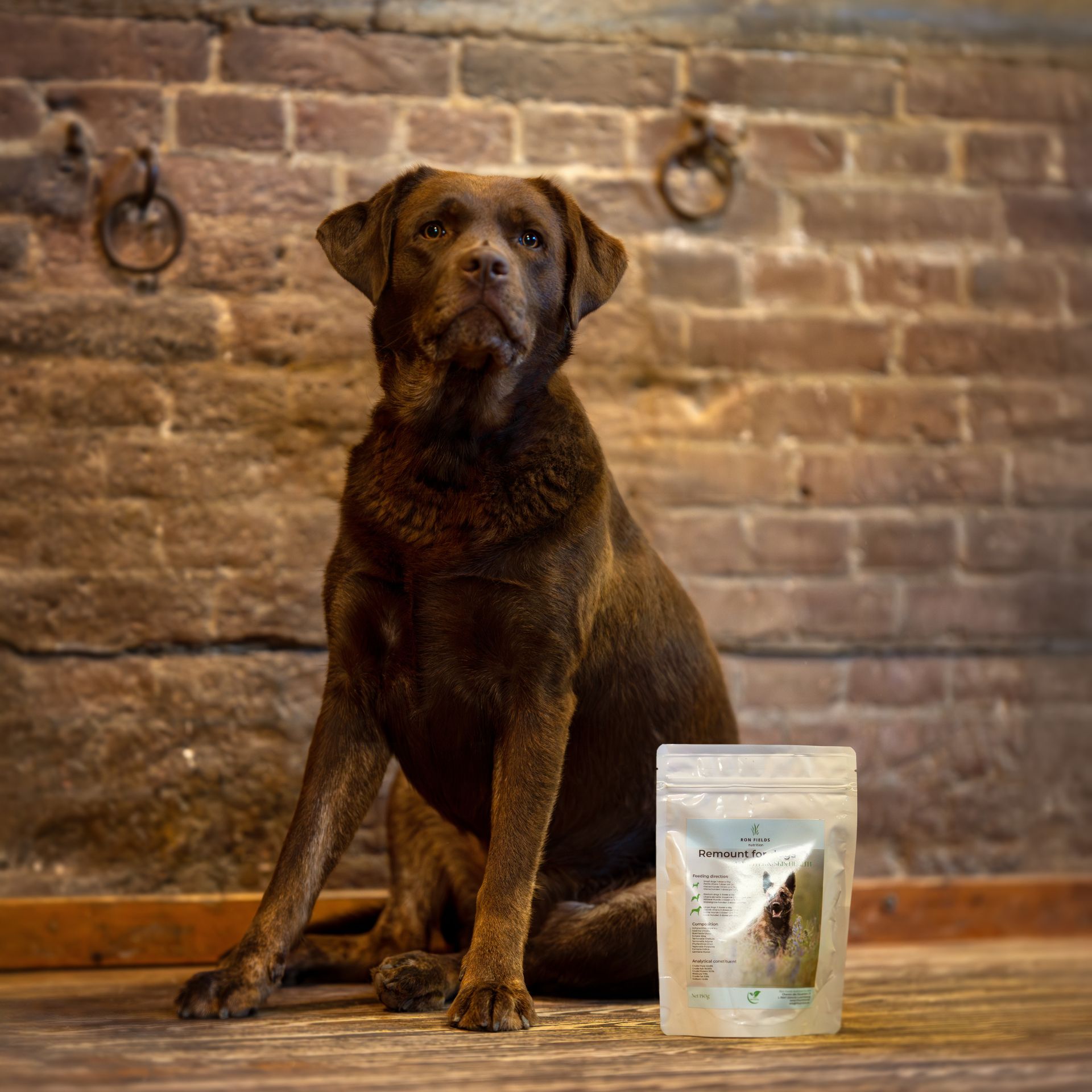 Remount Ayurvedic liver support supplement for dogs – Labrador with supplement