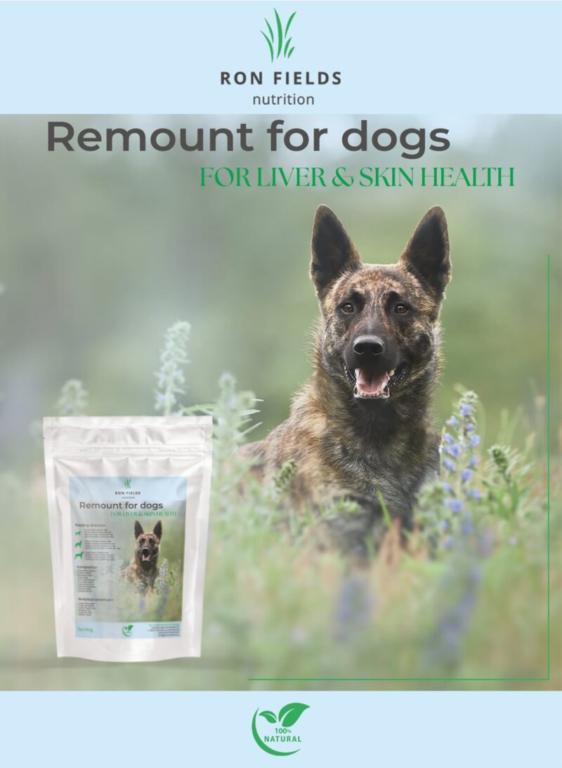 Remount Ayurvedic liver support for dogs – natural digestion and vitality supplement