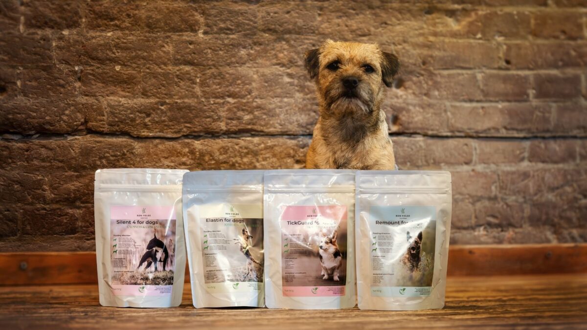 Ayurvedic supplements for dogs – Remount, Digest Calm, Elastin, Silent4, Tick Guard – with a healthy dog