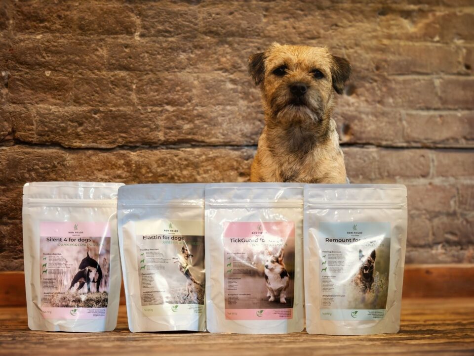 Ayurvedic supplements for dogs – Remount, Digest Calm, Elastin, Silent4, Tick Guard – with a healthy dog