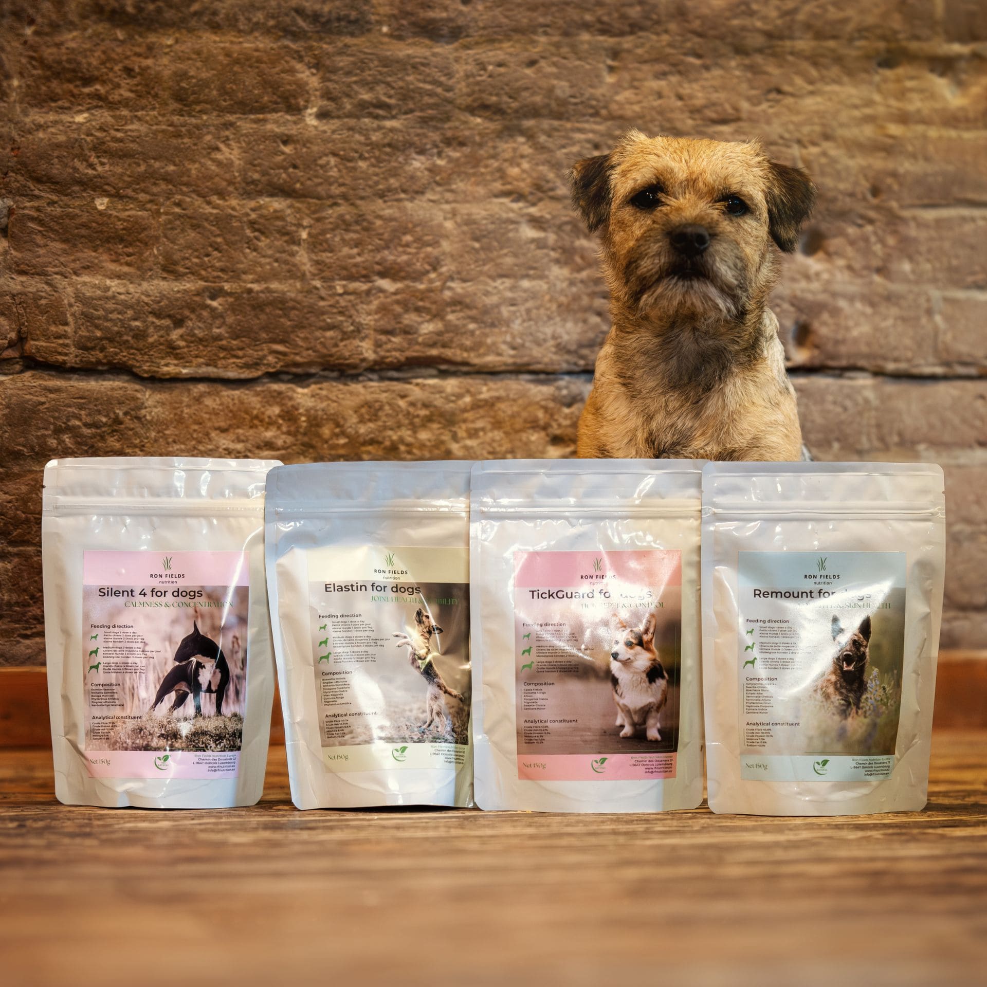 Ron Fields Nutrition full product line of Ayurvedic dog supplements displayed with border terrier